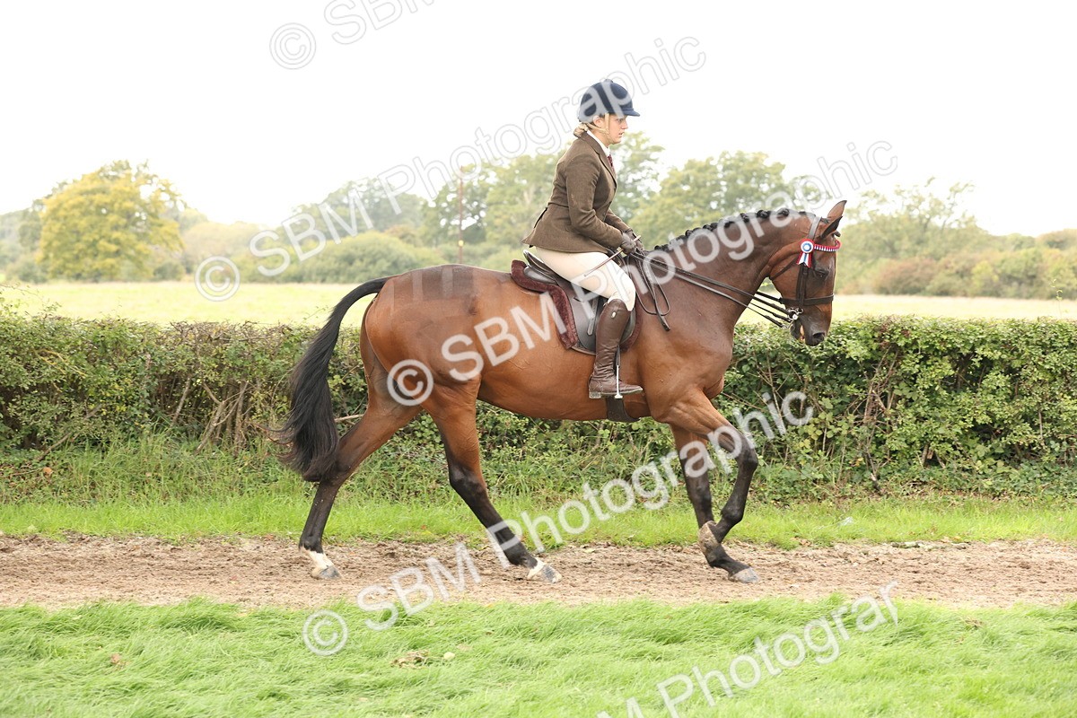 SBM_64189 - S65 - Riding Horse & Hack & Thoroughbred Ridden