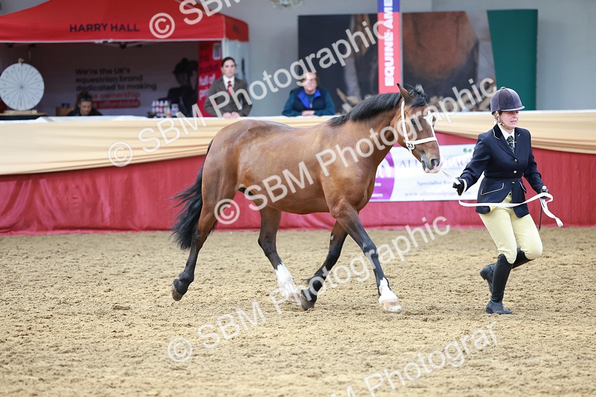 SBM_17507 - Class 951 - M&M IH Supreme Final