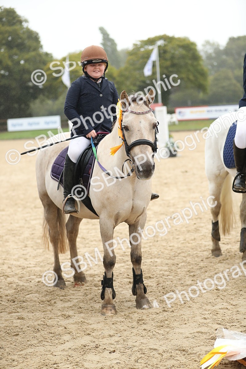 SBM_74116 - J16 - Junior Pony 75cm Championship
