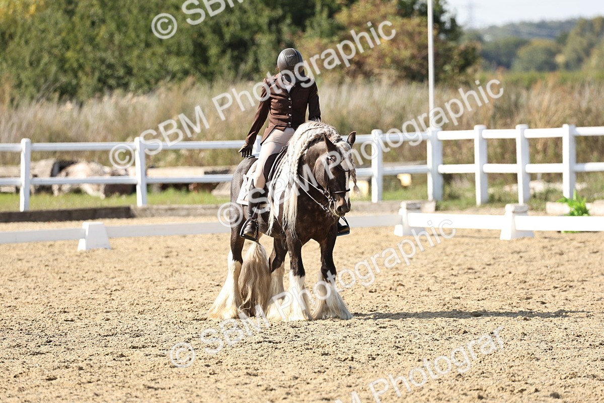 SBM_015287 - Class 9 - Advanced medium 3