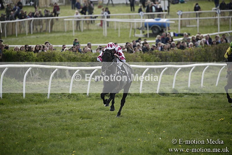 PtP 170417 342 - Old Berks Point-to-Point Lockinge 17/04/17