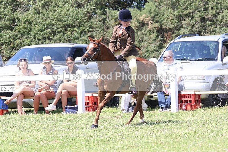 JPP_2353 - Class 20: Tiny Tots Working Hunter Pony