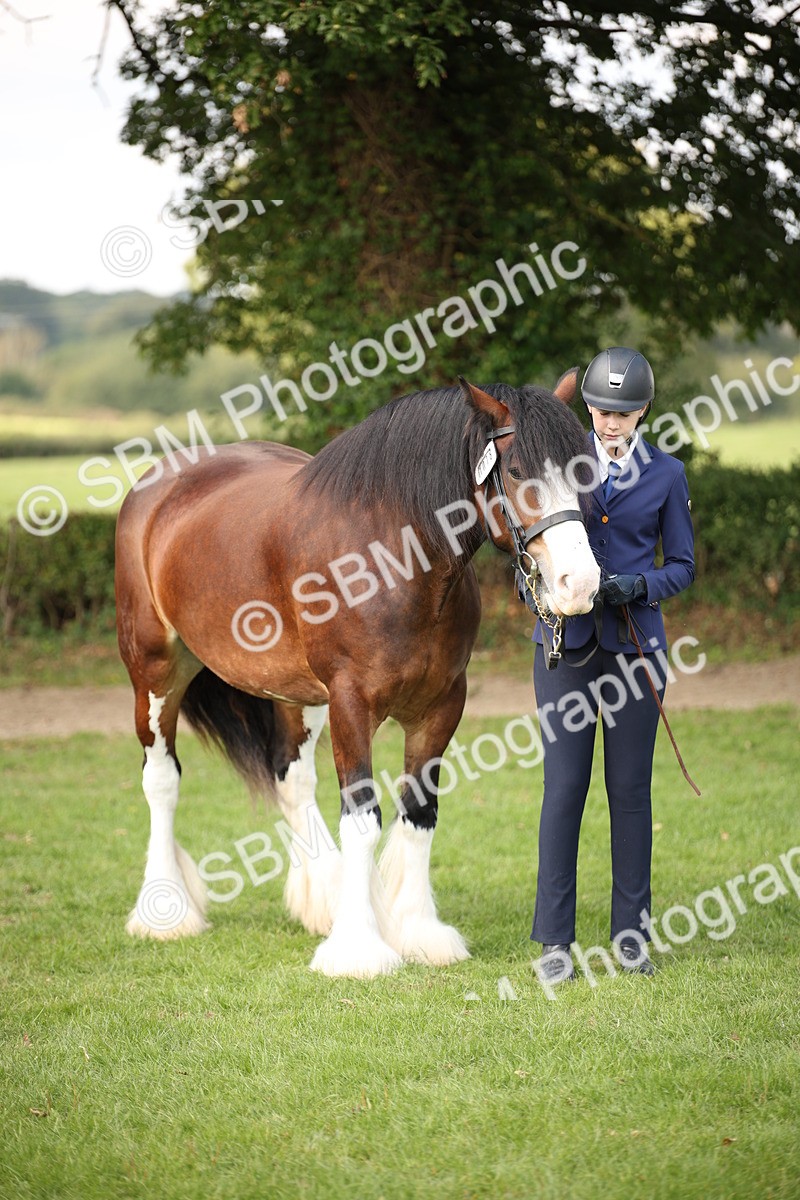 SBM_62297 - S55 - Traditional Cob In Hand