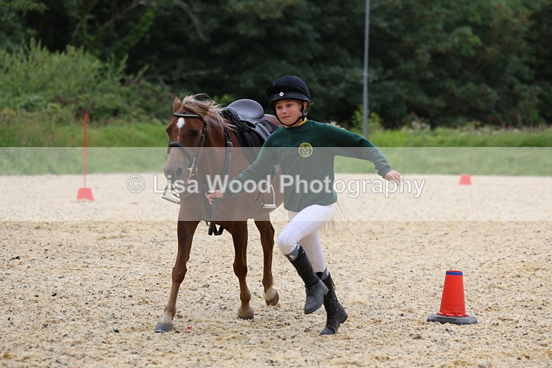 3E7A9613 - Walk trot run