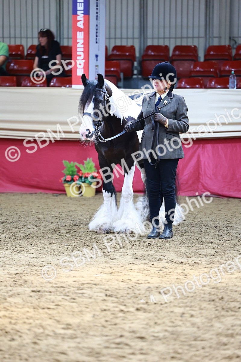 SBM_23122 - Class 903 - Supreme Final - IH Pre Vet