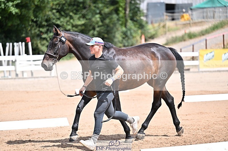 250716-125127-00206 - Trot Up 12.30 to 1.30