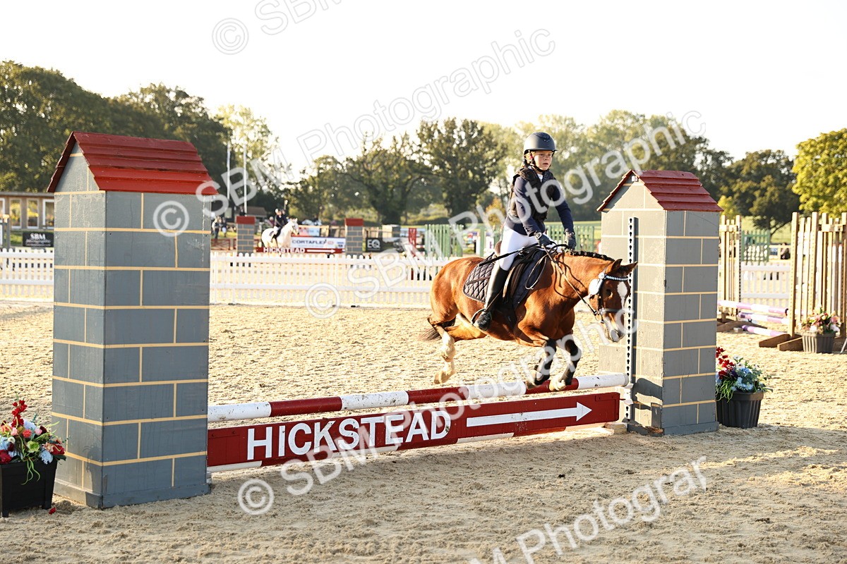SBM_57101 - J11 - Junior Pony 50cm Championship