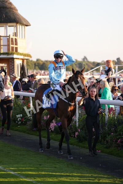 yr08102021r7-8 - Race 7 5.25pm The IRE Incentive, It Pays To Buy Irish Handicap