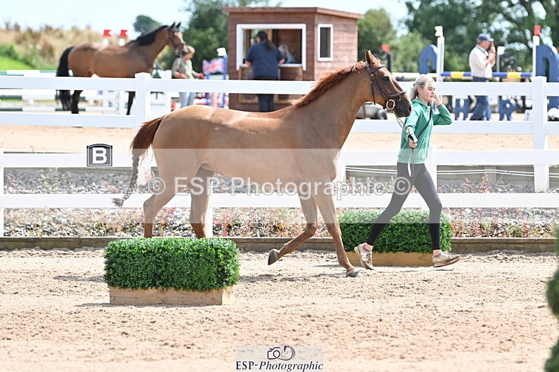 240717A-144951-02325 - Trot Up 2pm to 3pm - This folder is not in time order