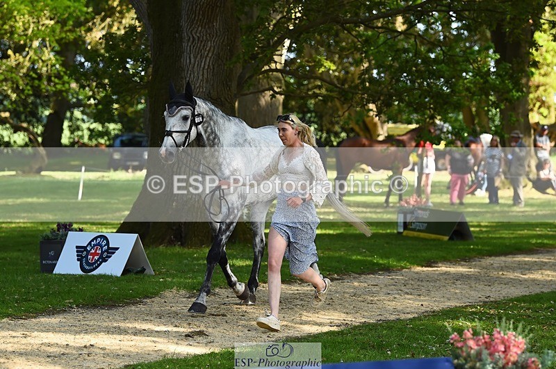 230524-165954-01226 - 167-COR_Y_TARAN-Toots_Bartlett-WEDTrotUp+DR