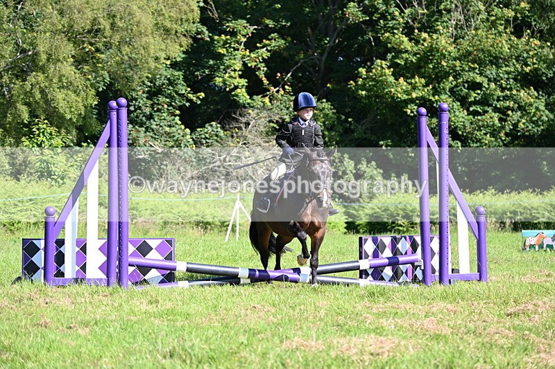WJ6_3563 - Class 1 Tiny Cross Poles