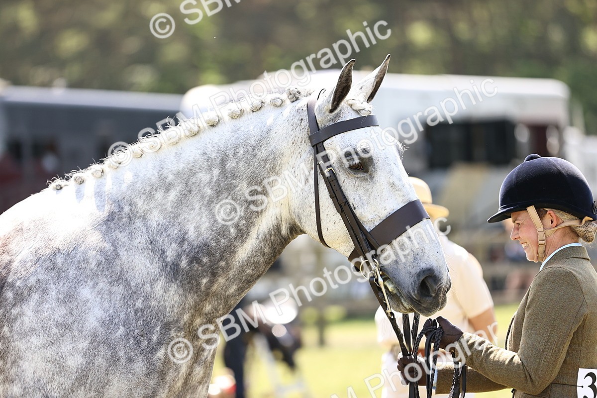 SBM_16162 - Class 79-80 - LIHS BSHA Rising Star Ridden Hunter