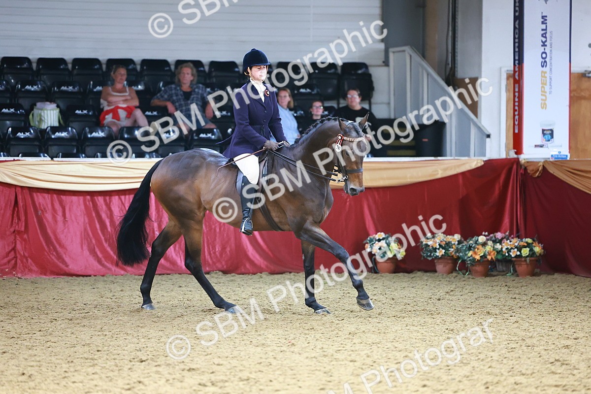 SBM_24063 - Class 905 - Supreme Final - Ridden Veteran