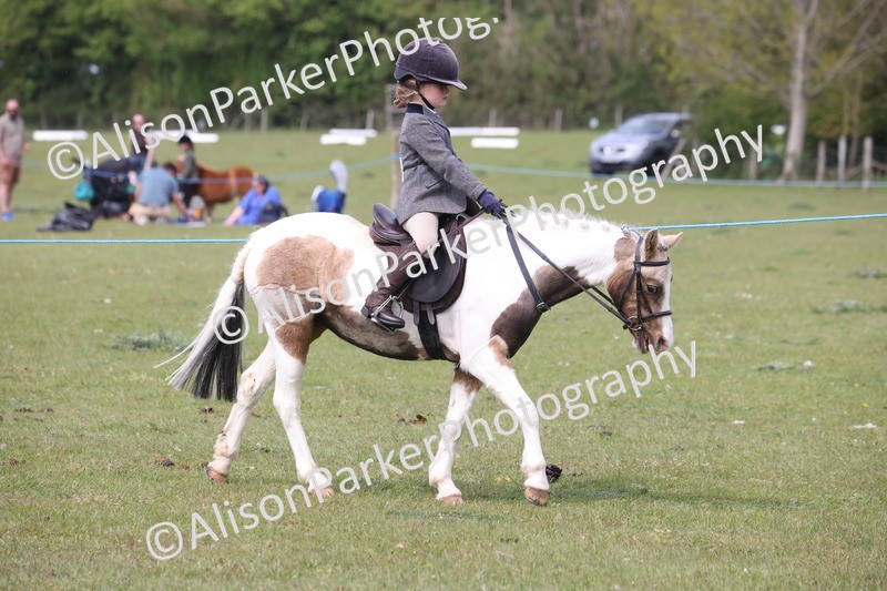 20260426-2881 - Class 33 - Best Pony 14.2hh and Under