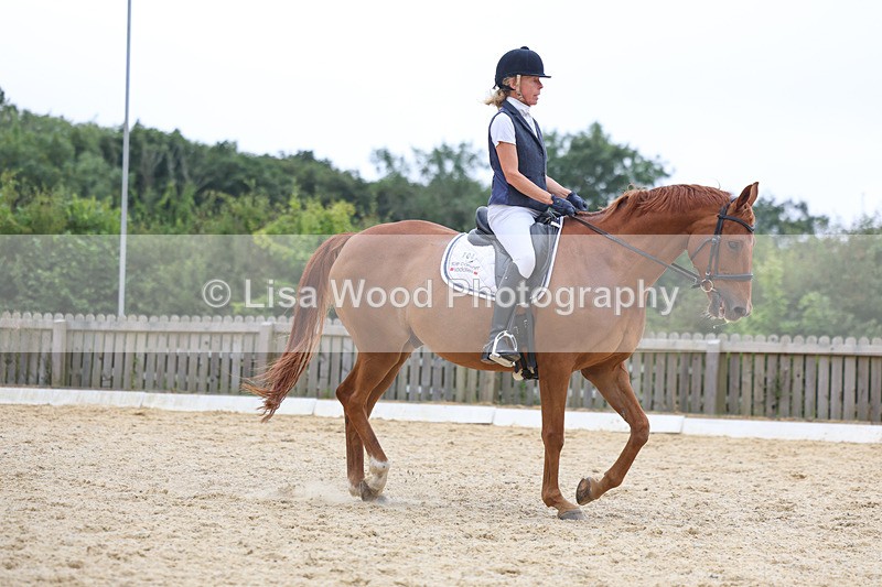 3E7A7199 - Class 9: Elementary 4 2024 - No sections