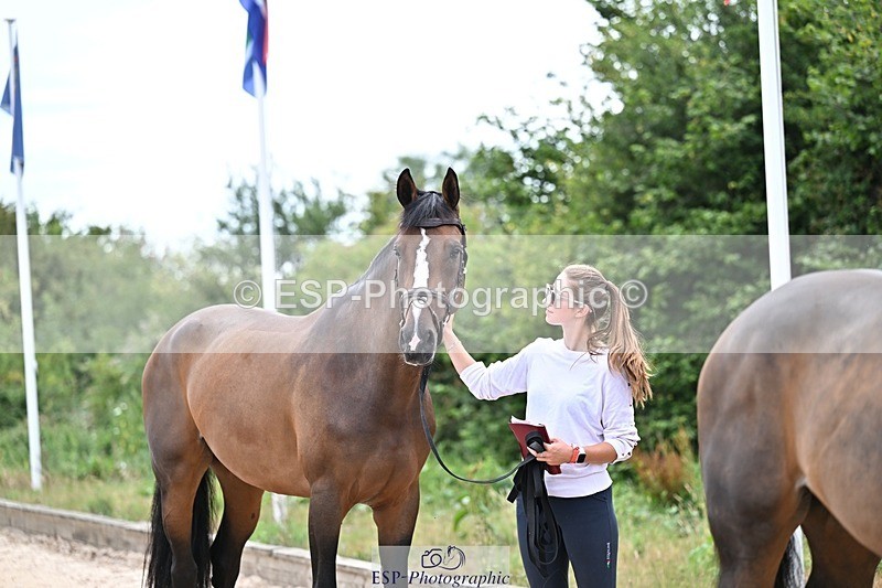 250716-135604-00708 - Trot Up 1.30 to 2.30
