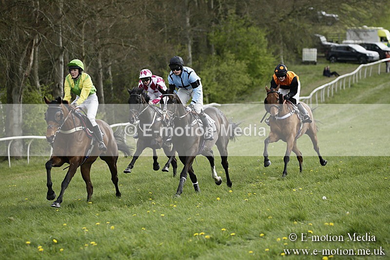 PtP 170417 323 - Old Berks Point-to-Point Lockinge 17/04/17