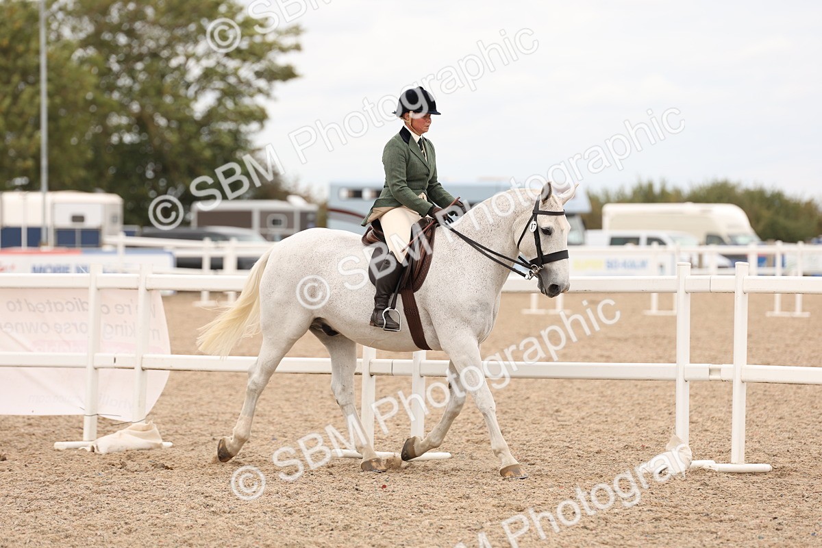 SBM_19518 - Class 215 - Ridden Show cob