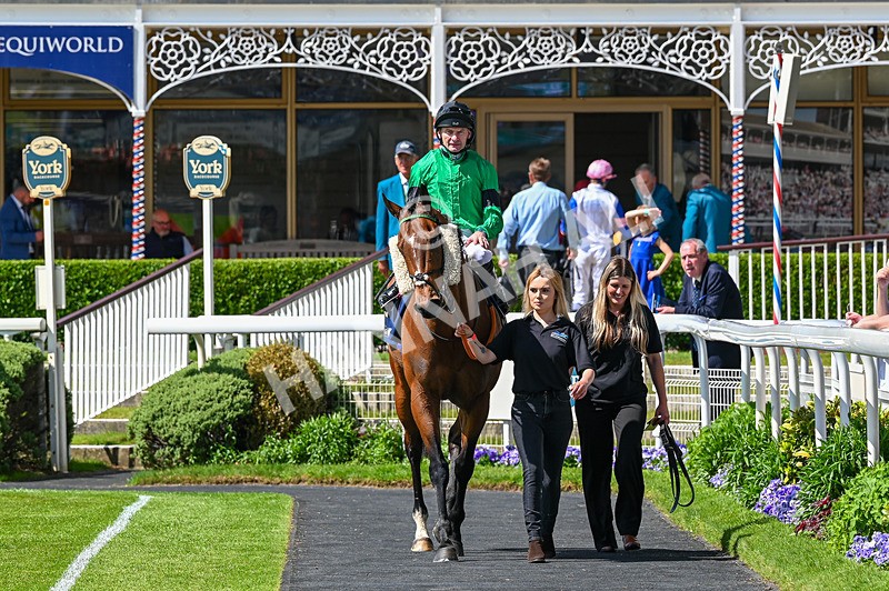 230526-Race 3-Partisan Hero-6599 - Race 3 14.40pm William Hill Epic Boost Handicap