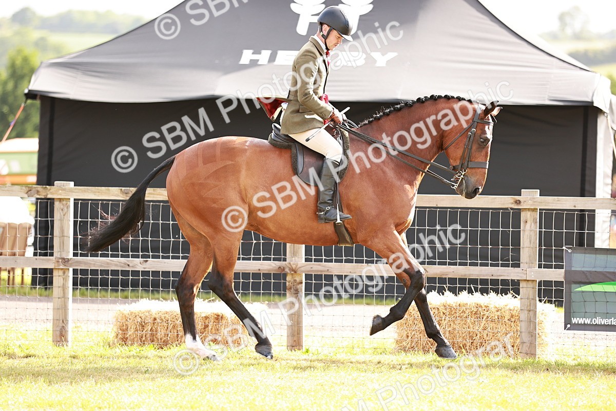 SBM_10828 - Class 81-84 - RIHS Ridden hunters Inc Ladies Hunter
