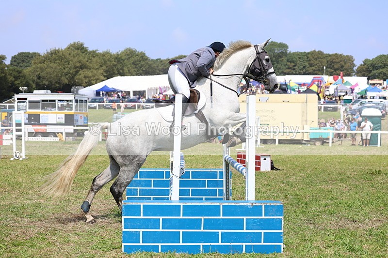 3E7A2909 - Class 7: Senior British Novice/90cm open