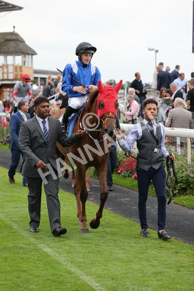 yr20082021r7-14 - Race 7 5.10pm Sky Bet Mile