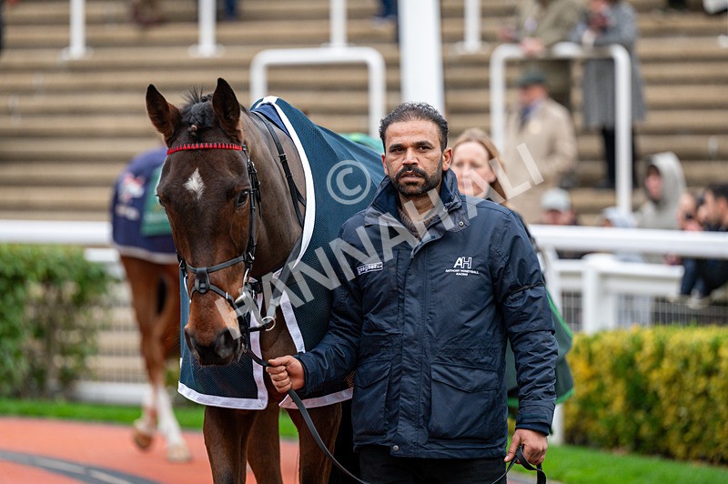 161125-Race 4-Sam Brown-1533 - Race 4