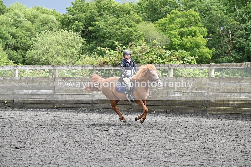 WJ6_0211 - Class 13 Novice 60cm