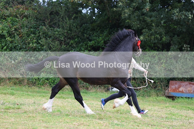 3E7A4284 - Class 15: Two Year Olds