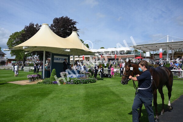 yr11062021r3-48 - Race 3 2.55pm SKF Rous Selling Stakes