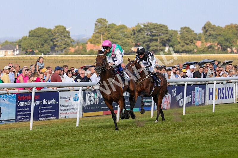 310824-Race 6-Amphius-1941 - Race 6