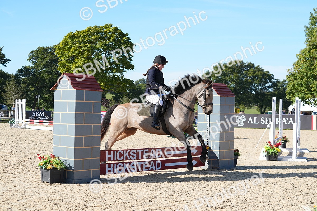 SBM_36139 - J 20 - Junior Horse 50cm Championship