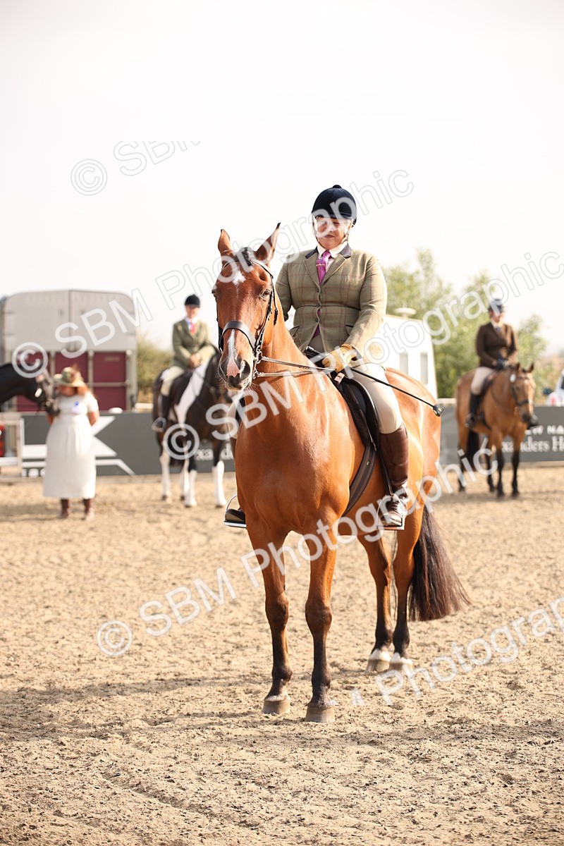SBM_10270 - Class 402 Riding Club Horse