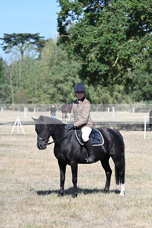 WJ7_4107 - Class 9 Mountain & Moorland Ridden