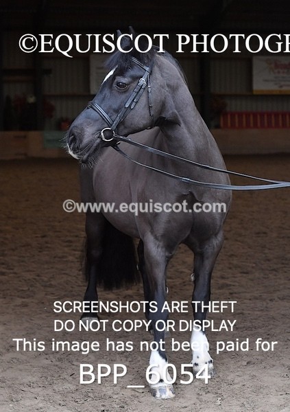 BPP_6054 - Erin Hancock ×2