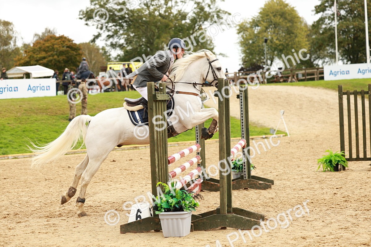 SBM_38458 - Supreme Championship 80cm 85cm