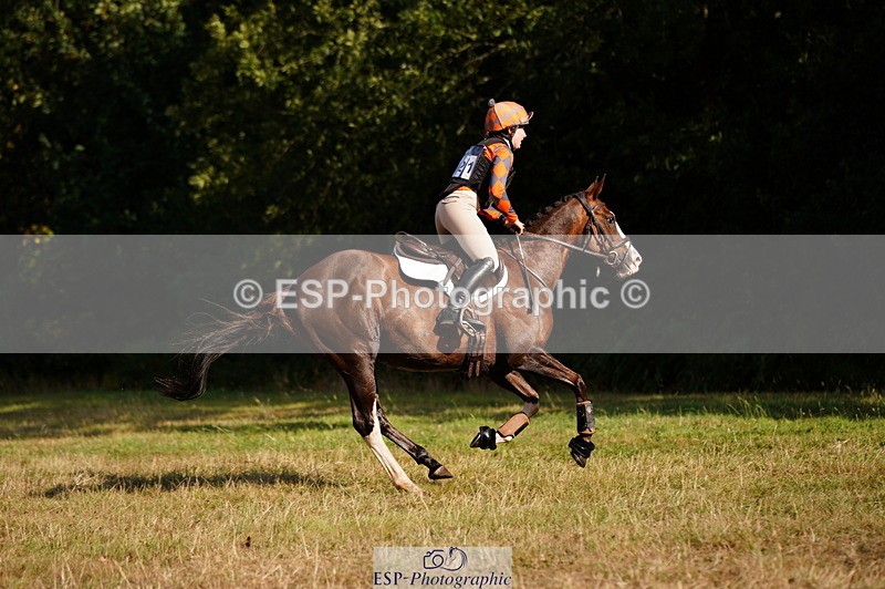 250803A-180308-18879 - R-821-Josephine.Grey-GEMMASTON.ALL.THAT.GLITTERS