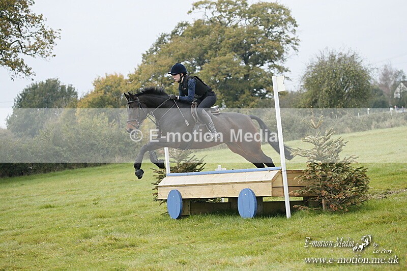 WWHT 181020 WWHT 181020 548 - WWEC Open Novice (0.80m) 18/10/20