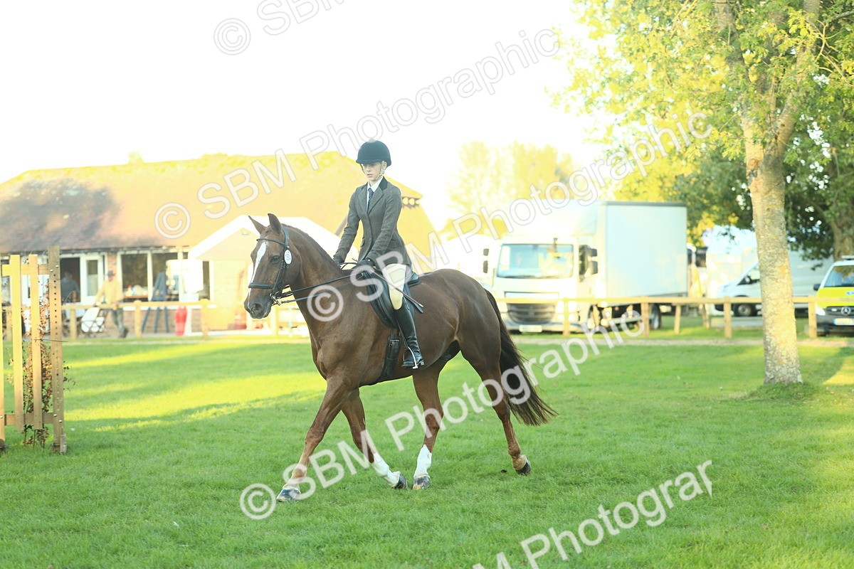 SBM_56448 - S14 - Riding Club Horse