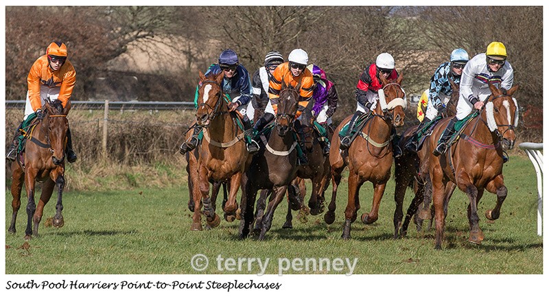  - Equestrian Sport