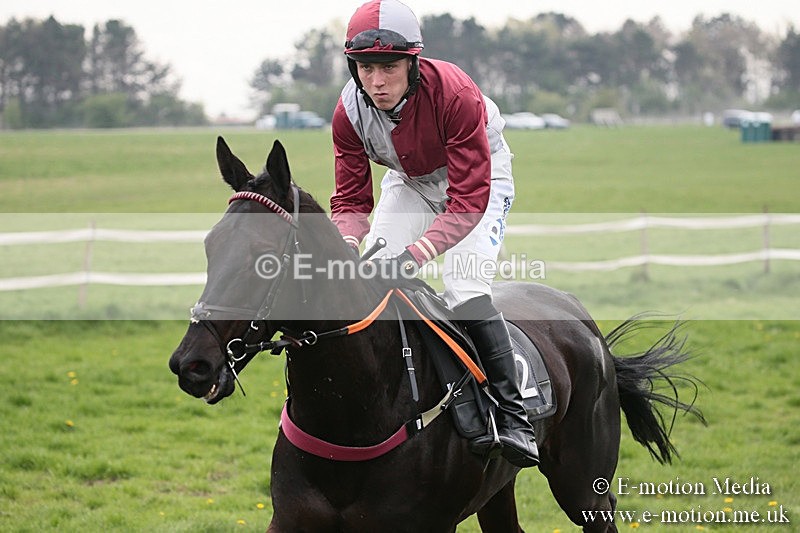 PtP 210418 63 - South & West Wilts Point-to-Point Larkhill 21/04/18