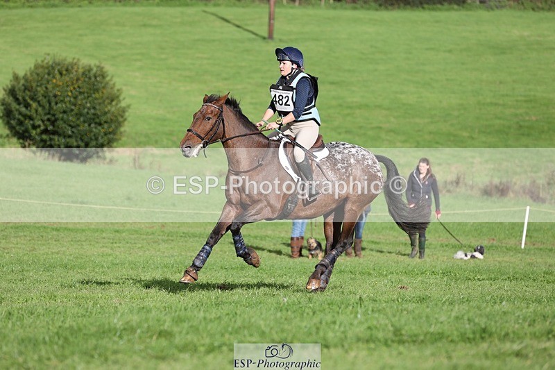 231021-150252-20058 - 482-ODDSPOT.VITAL.ELEMENT-Danielle.Davies-SC+XC