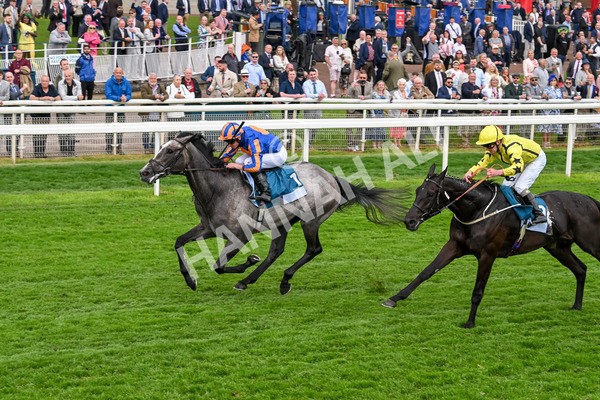 160524-Race 7-London City-6874 - Race 7 5.20pm Collective Green Energy Handicap