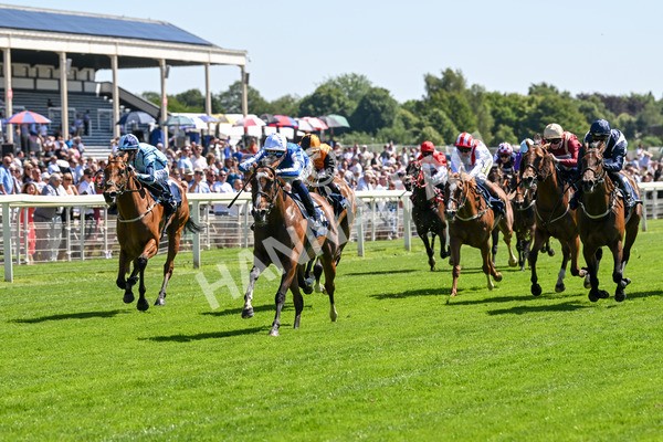 110725-Race 2-Sayidah Dariyan-4102 - Race 2 2.45pm William Hill Summer Stakes