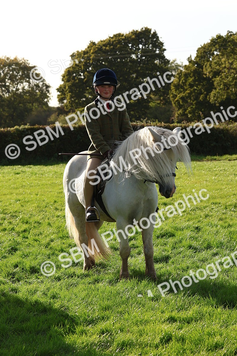 SBM_52634 - S13 - Pony Club Pony