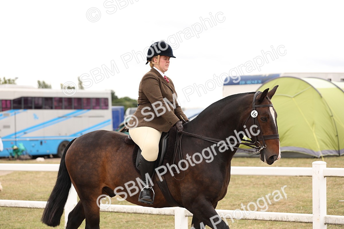 SBM_19478 - Class 215 - Ridden Show cob