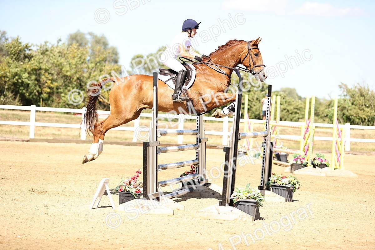 SBM_015469 - Class 16 - Senior foxhunter - 1.20m Open