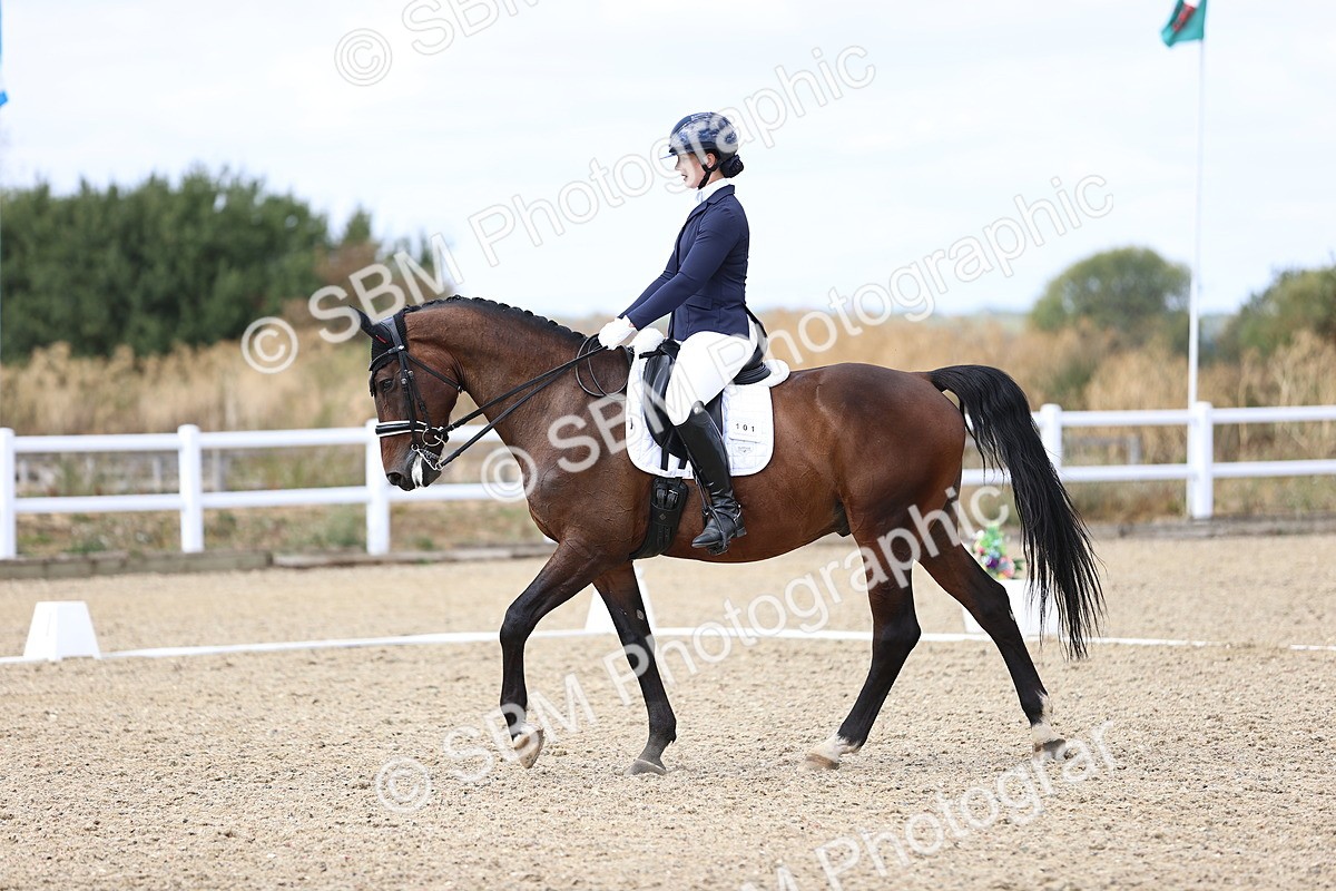 SBM_015200 - Class 5 - E5 Bronze 14.42.15.54