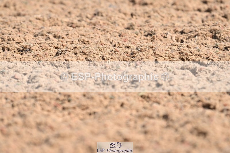 240621A-102032-01346 - Cls 4 BD Novice 22