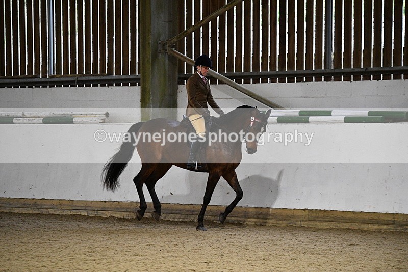WJ5_8789 - Class 15 Ridden Show Horse